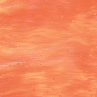 Orange Petal Marshmallow | 8oz Candle