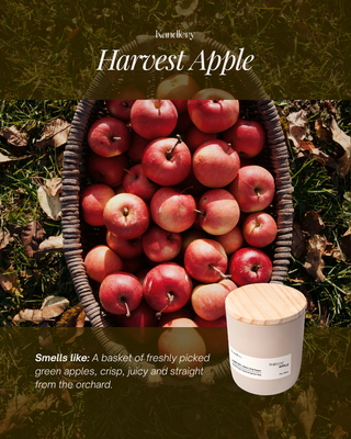 Harvest Apple | 8oz Fall Candle